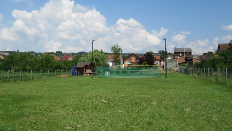 IMG_0054